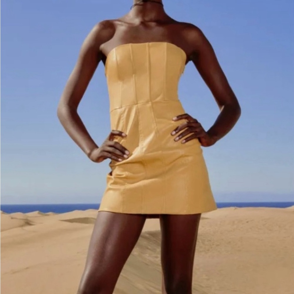 Zara Faux Leather Dress